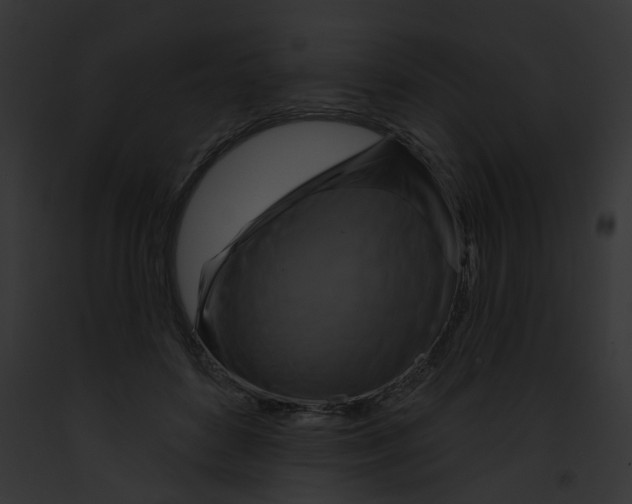 X0000091890504200710031144
