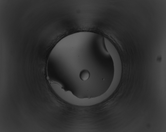 X0000091890505200710031144