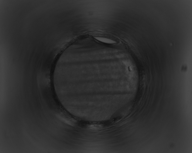 X0000091890508200710031144