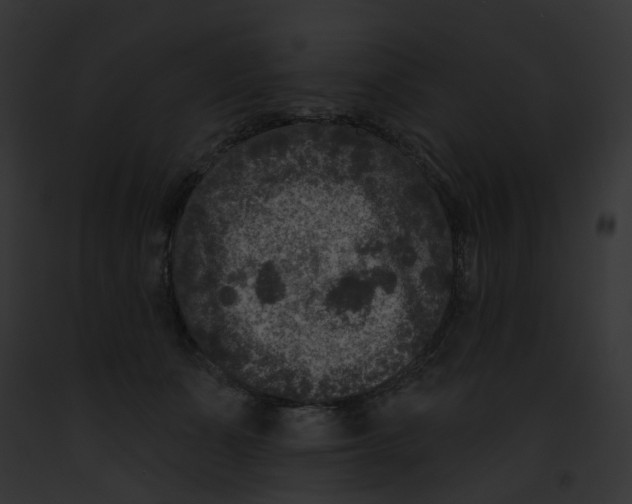 X0000091890511200710031144