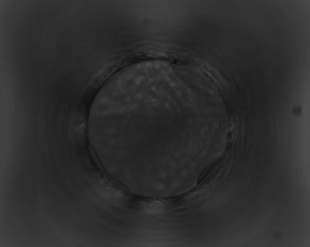 X0000091890513200710031144
