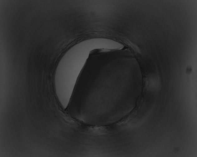 X0000091890517200710031144