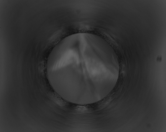 X0000091890519200710031144
