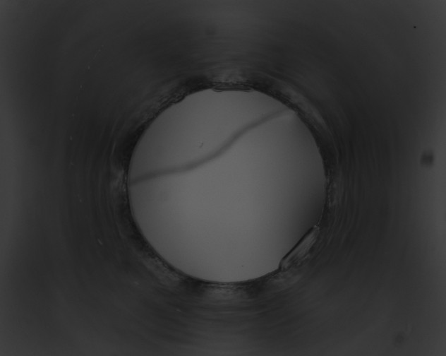 X0000091890521200710031144