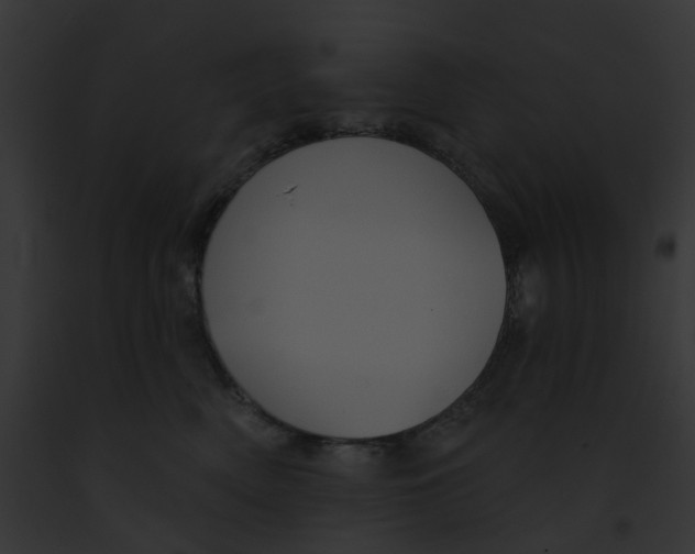 X0000091890522200710031144