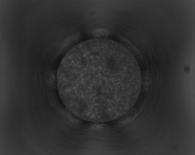 X0000091890523200710031144