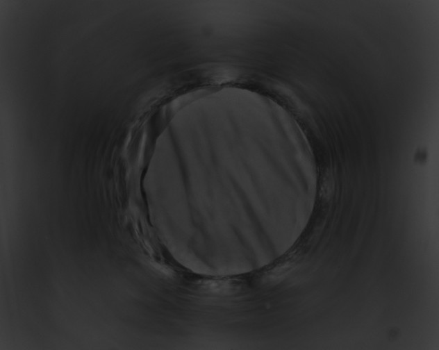 X0000091890524200710031144