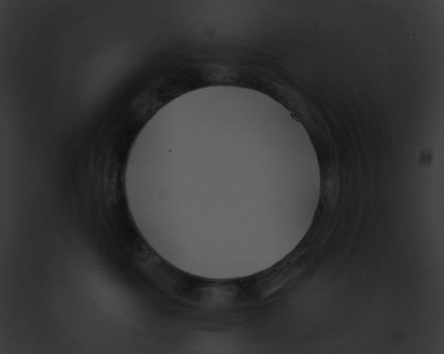 X0000091890525200710031144