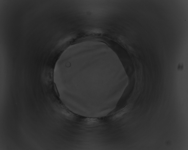 X0000091890528200710031144