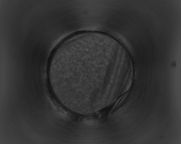 X0000091890532200710031143
