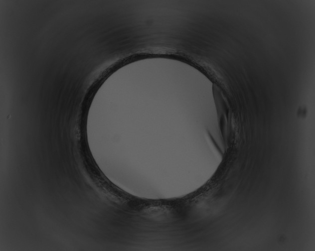 X0000091890536200710031143