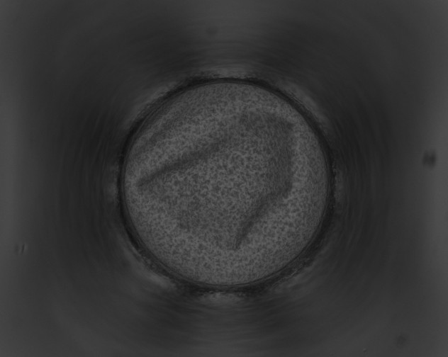 X0000091890537200710031143