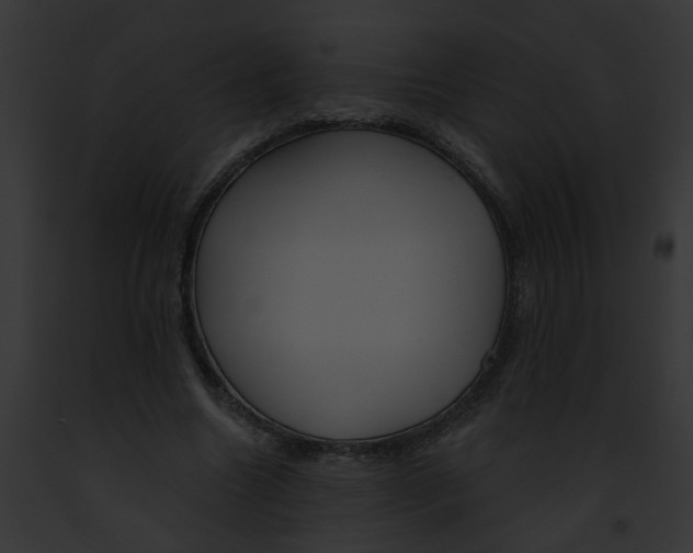X0000091890538200710031143