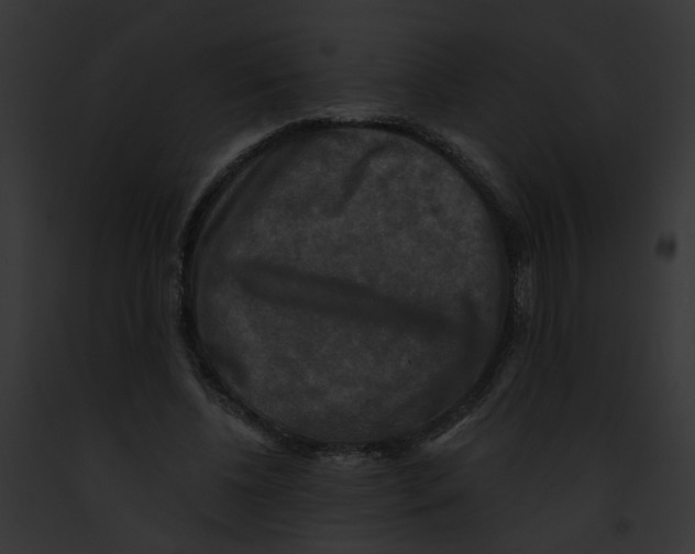 X0000091890540200710031143