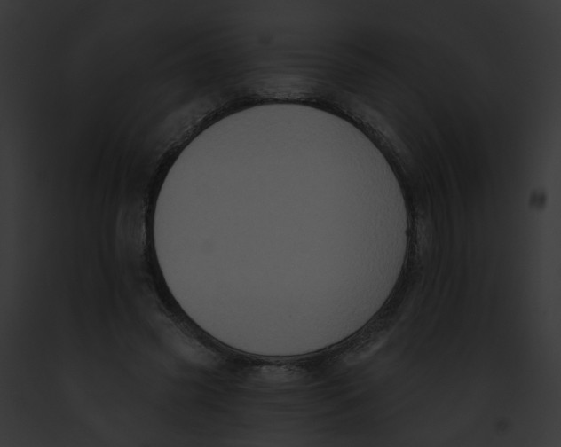 X0000091890541200710031143