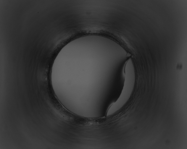 X0000091890543200710031143