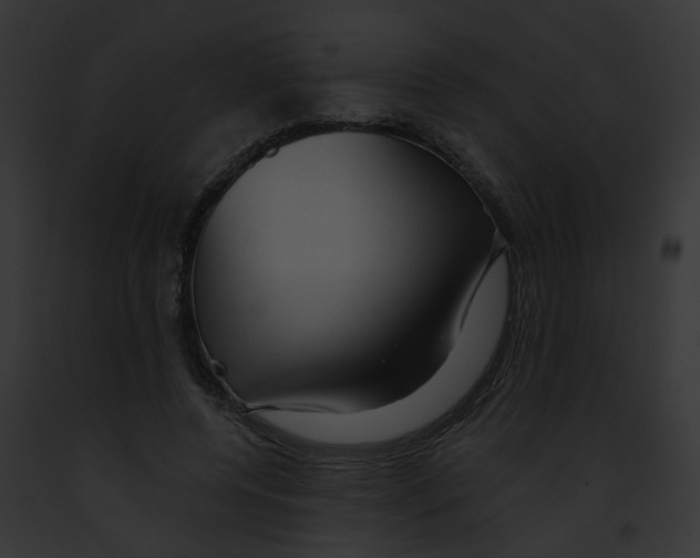 X0000091890544200710031143