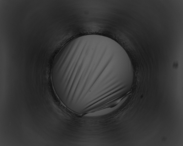X0000091890546200710031143