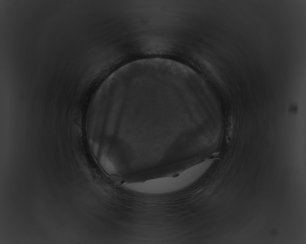 X0000091890547200710031143