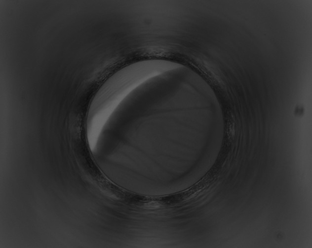 X0000091890551200710031143