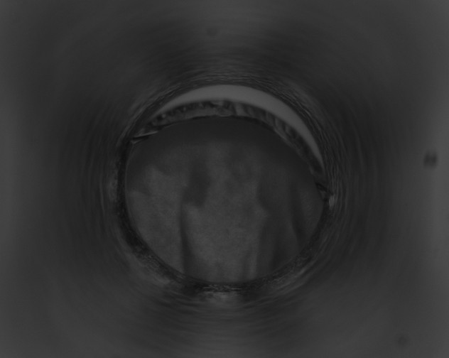 X0000091890552200710031143