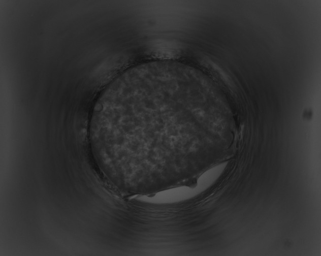 X0000091890553200710031143
