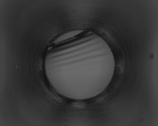 X0000091890556200710031143