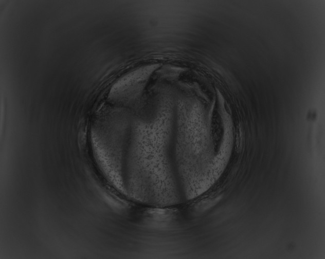 X0000091890558200710031143