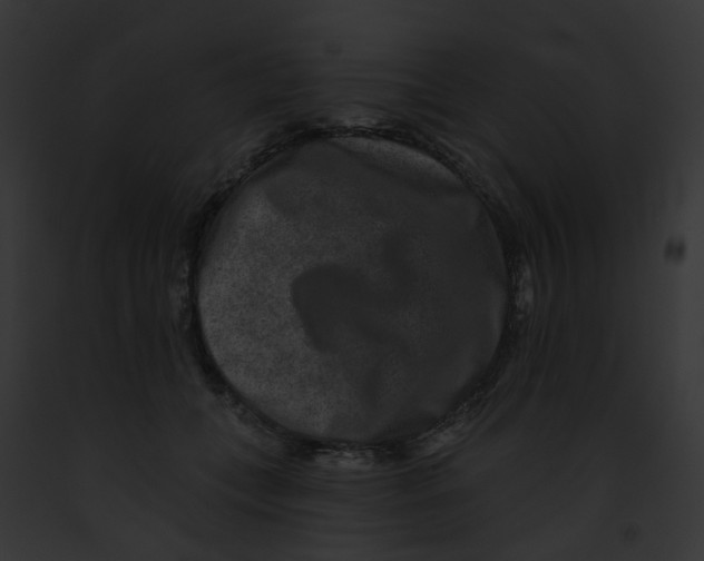 X0000091890559200710031143