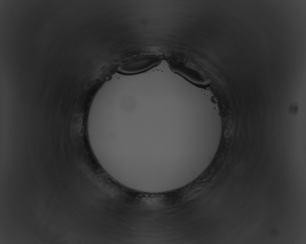 X0000091890560200710031143