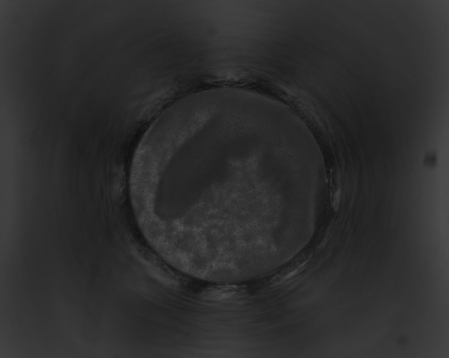 X0000091890563200710031143