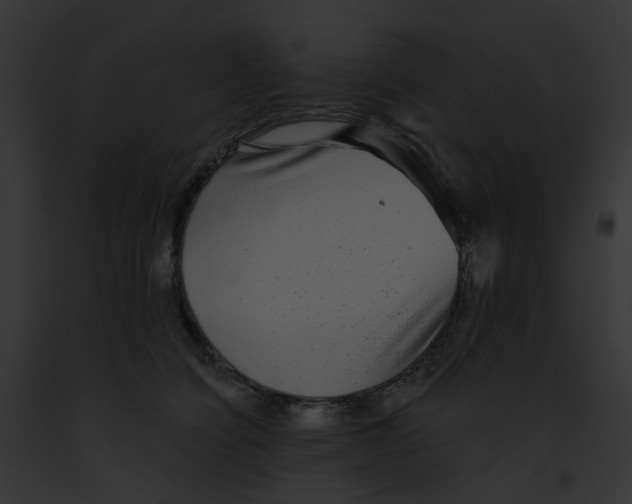 X0000091890564200710031143