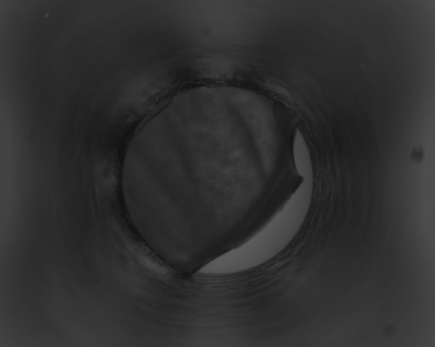 X0000091890566200710031143