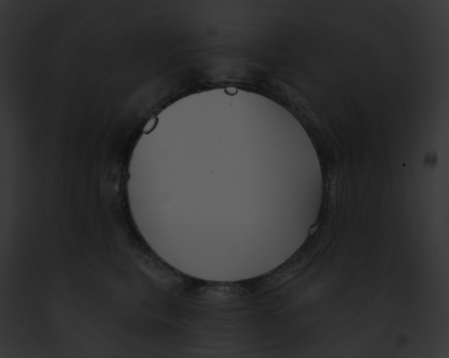 X0000091890567200710031143