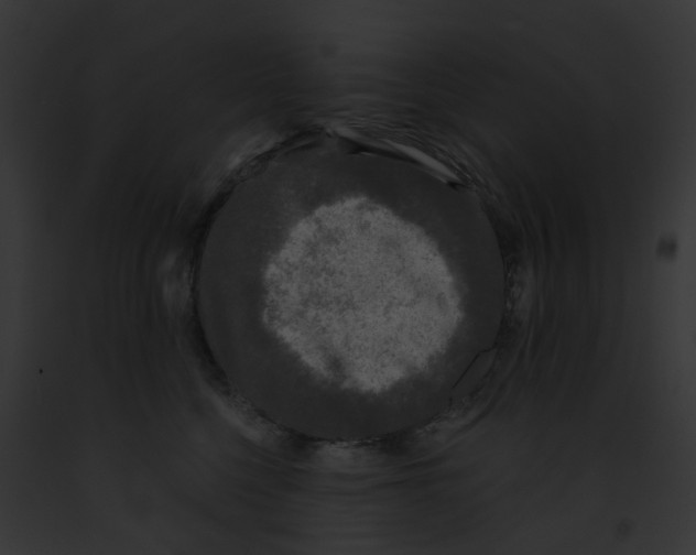 X0000091890568200710031143