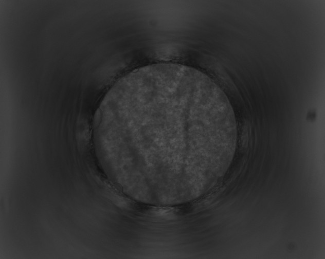 X0000091890569200710031143