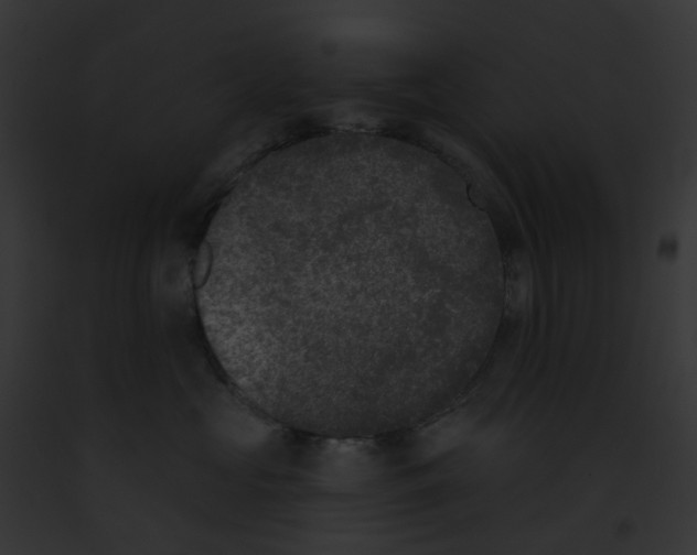 X0000091890573200710031143