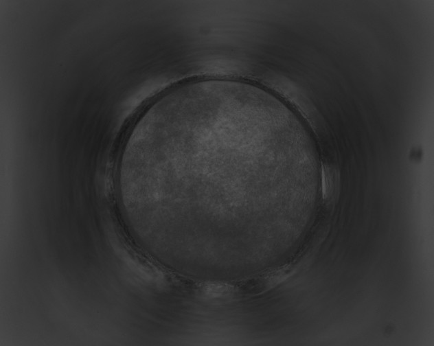 X0000091890579200710031143