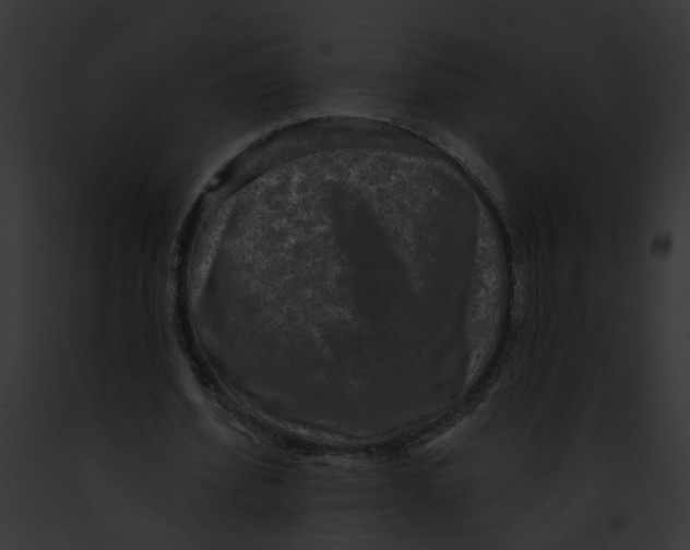 X0000091890580200710031143