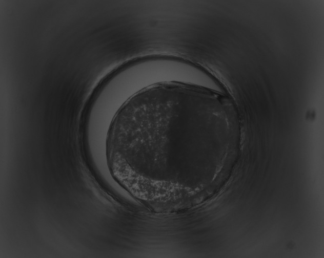 X0000091890584200710031143