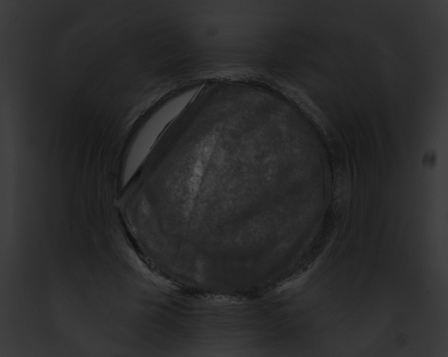 X0000091890585200710031143