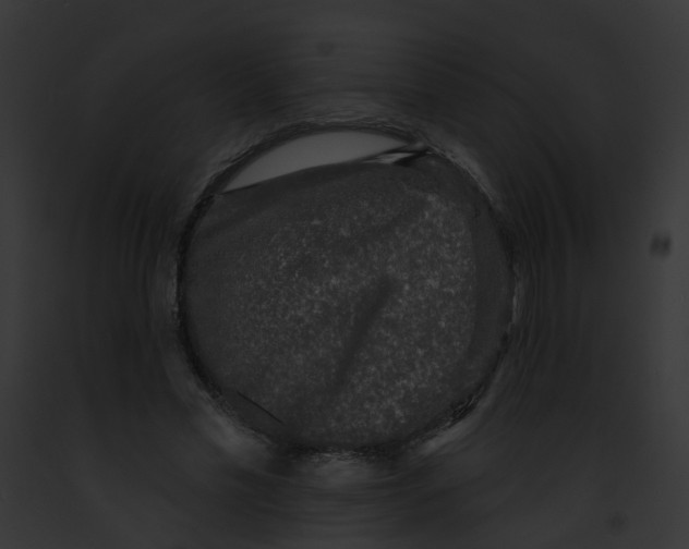 X0000091890589200710031143
