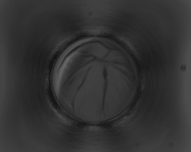 X0000091890590200710031143