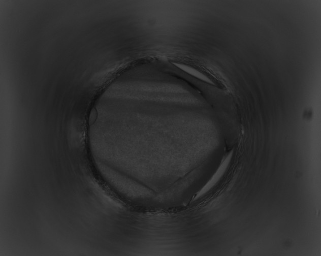 X0000091890593200710031143