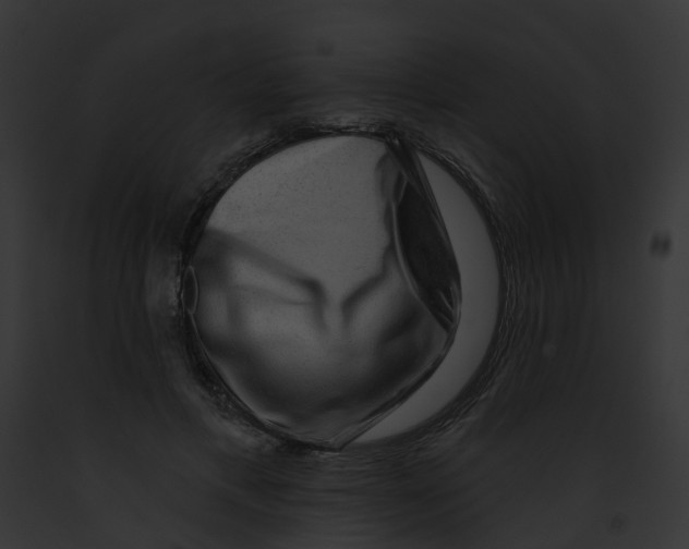 X0000091890597200710031143