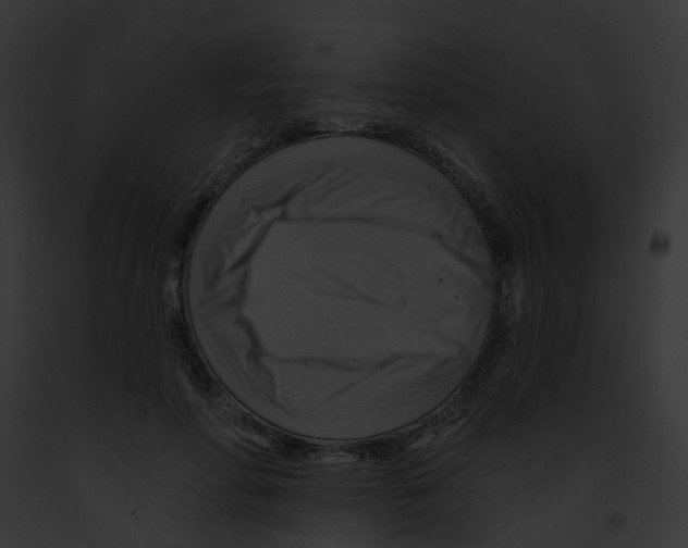 X0000091890598200710031143