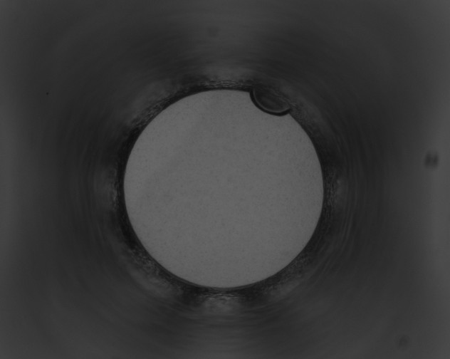 X0000091890599200710031143