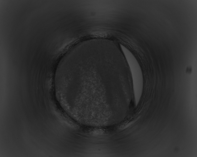 X0000091890600200710031143