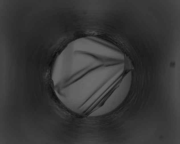 X0000091890601200710031143