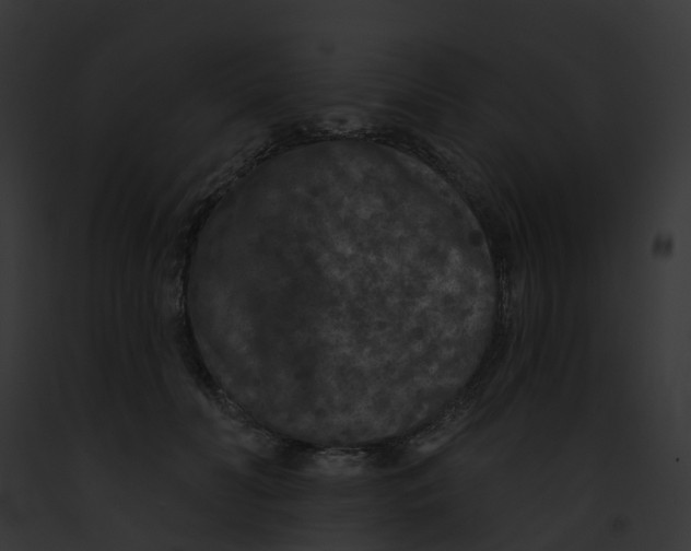 X0000091890606200710031143
